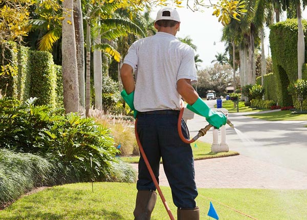 About Pequea PA Pest Control Pros